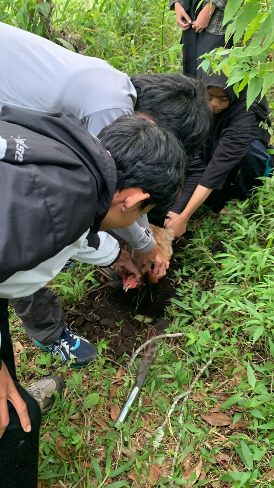 IMPLEMENTASI SURVIVAL PENYEMBELIHAN AYAM MAPALA JELATA VIA MAWAR GUNUNG UNGARAN